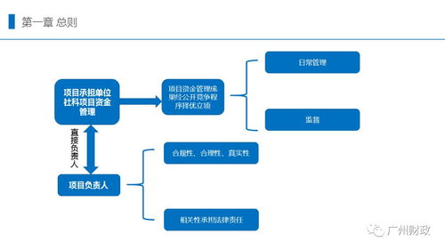 圖解廣州市市級財政社會科學研究項目資金管理暫行辦法 醫療投資管理視角